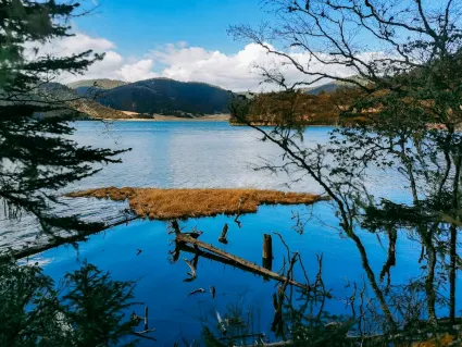 77spins Cazino Cazinou Aplicație mobilă